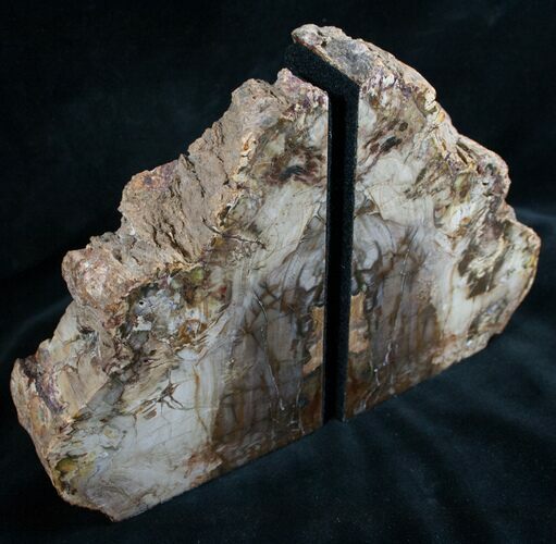 Madagascar Petrified Wood Bookends - Tall, Wide #7615
